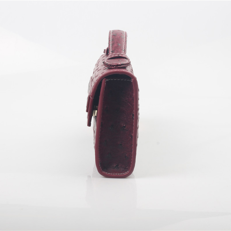 Dubai Nieuwe Dames Handtassen  - Women Bags Dubai recensie en prijs